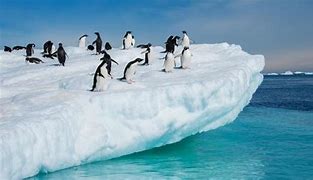 Penguins ready to dive